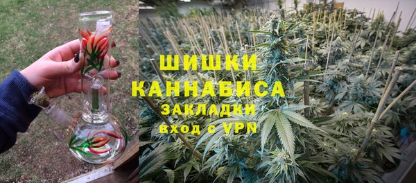 сатива Лихославль