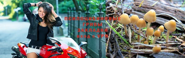 сатива Лихославль