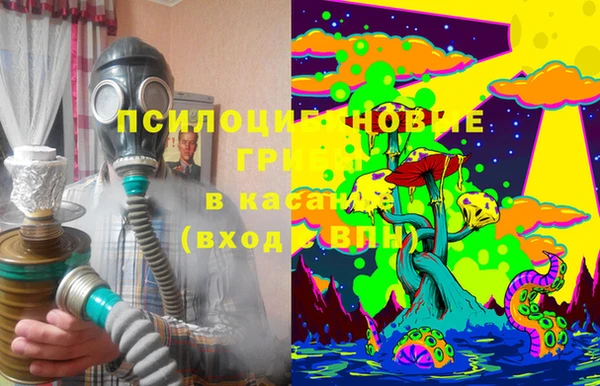 дурь Лагань