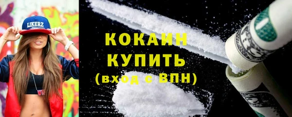 твердый Заречный