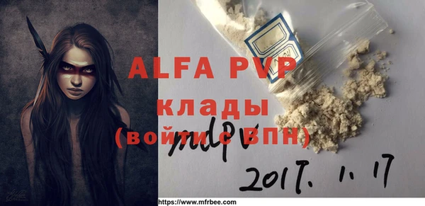 спиды Заполярный