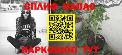 МДПВ Гай