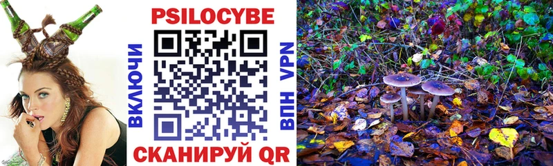 Псилоцибиновые грибы GOLDEN TEACHER  MEGA ссылки  это как зайти  Наро-Фоминск 