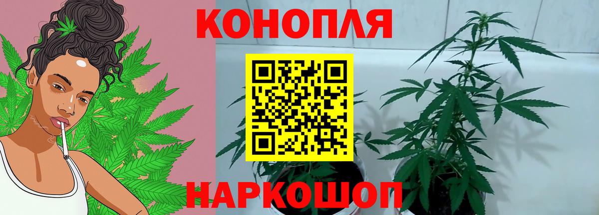 Конопля SATIVA & INDICA Наро-Фоминск
